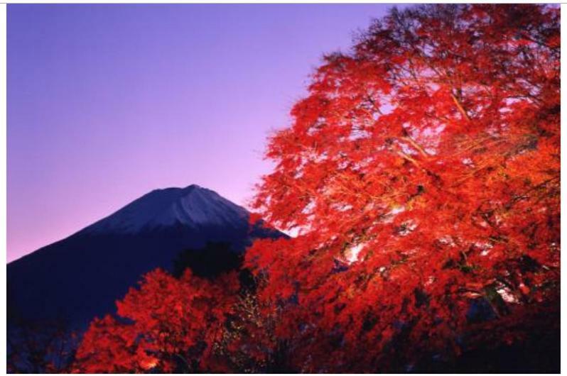 Erable Mt.Fuji "Kaze" Villa Fujikawaguchiko Exteriör bild